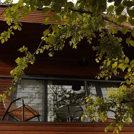 Dakidula - Დაკიდულა Villa Ambrolauri Exterior photo