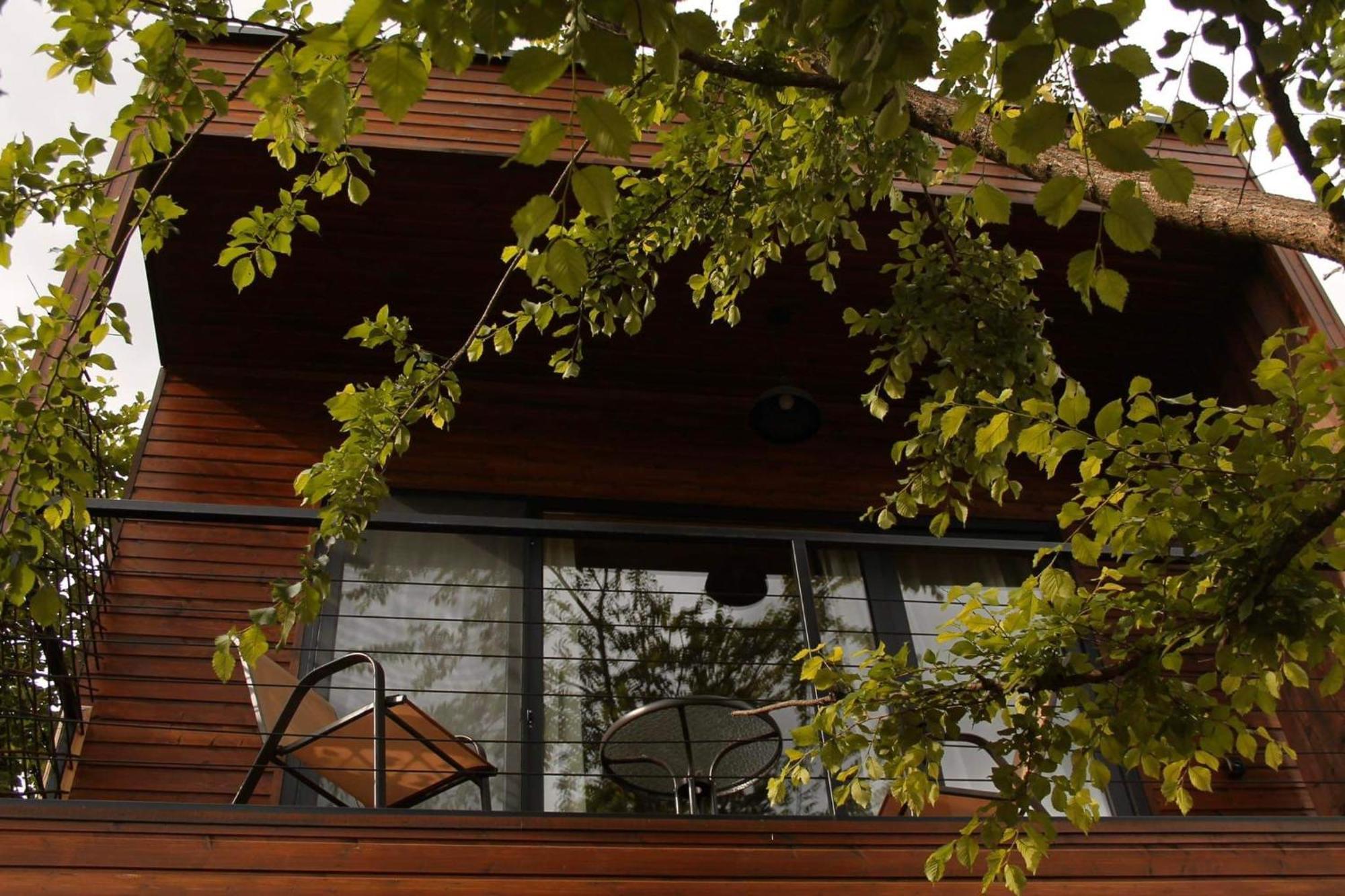 Dakidula - დაკიდულა Holiday home Ambrolauri